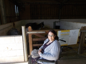 Me (glasses, cardigan, dress) smiling and sitting in a wheelchair in front on the miniature herd donkey pen.